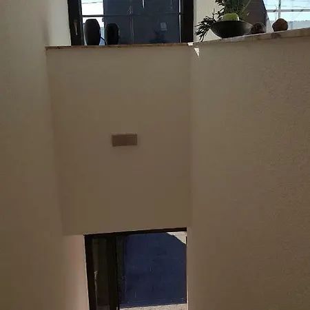 Fewosa Trier-tarforst