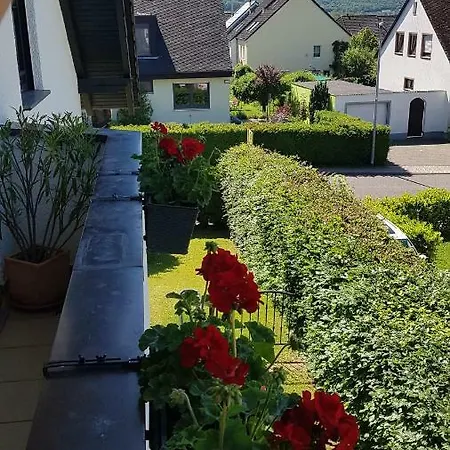 Fewosa Trier-tarforst Trevír