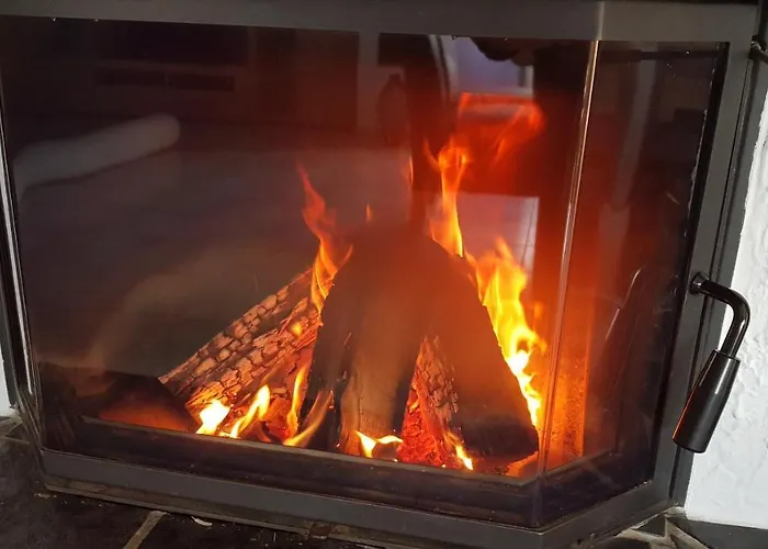 Fewosa Trier-tarforst *